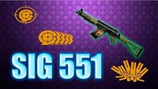 .Дирик обзор SIG 551