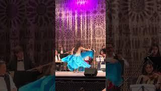 Mesmerizing Belly Dance with Semi-Circle Silk Veils | Featuring Elvan #bellydance