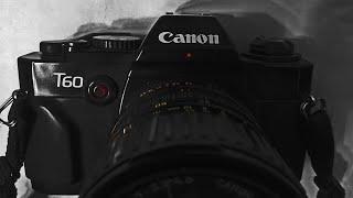 52 Cameras: Canon T60