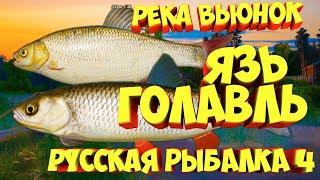 русская рыбалка 4 - Язь Голавль река Вьюнок - рр4 фарм Алексей Майоров