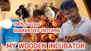 How To Make an Egg Incubator at Home || Wooden Box Egg Incubator || Egg Hatched