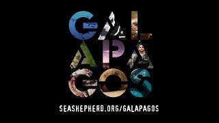 Sea Shepherd : Galapagos