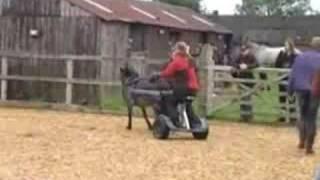 Three Girls on the SaddleChariot