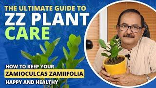 The Ultimate Guide to ZZ Plant Care: How to Keep Your Zamioculcas Zamiifolia Happy and Healthy