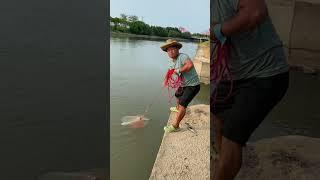 how fishing net works animation, wow!! Real life Cast net fishing 8kg Under a Dam 5
