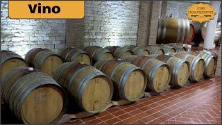 Amarano, cantina nel cuore dell’Irpinia