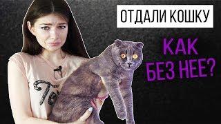 ОТДАЛИ КОШЕЧКУ БАТТЕРС | У НАС ТЕПЕРЬ НЕТ КОШЕЧКИ