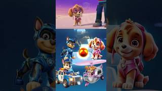 Rayder  Sky  Chass DJ WILDHOP #pawpatrol #tilesgop #coffindance