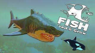 ОГРОМНЫЙ МЕГАЛОДОН ПРОТИВ ВСЕХ, ОБНОВЛЕНИЕ | Feed and Grow Fish