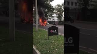 Three Wheel Fire -Nelum Pokuna