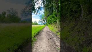 Hiking #BlackForest #mountains at Müllheim #Germany #hiking #schwarzwald #travel #nature #hikerlife