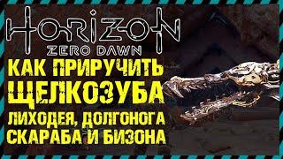 Horizon Zero Dawn КАК ПРИРУЧИТЬ ЩЕЛКОЗУБА ЛИХОДЕЯ ДОЛГОНОГА СКАРАБА БИЗОНА