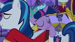 twilight sparkle and shining armor being the best sibling duo for 5 seasons straight