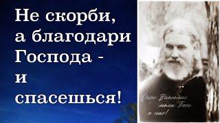 СХИАРХИМАНДРИТ ВИТАЛИЙ СИДОРЕНКО. ЛУЧШИЕ НАСТАВЛЕНИЯ НА КАЖДЫЙ ДЕНЬ!