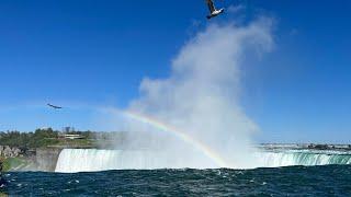 Fun facts about Niagara Falls!! #facts #funfacts #travel #vacation #niagarafalls