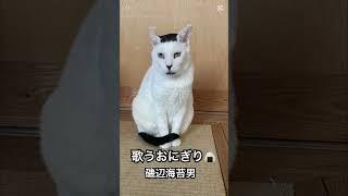 アパツー歌うおにぎり猫 磯辺海苔男