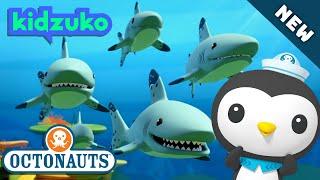 @Octonauts -  THE FEEDING FRENZY  | BRAND NEW | Season 5 | Full Episode 3 | @Kidzuko Exclusive!