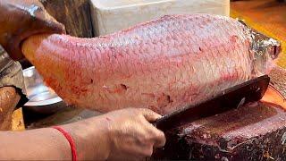 Amazing Cutting Skills | Big Rohu Fish Cleaning & Chopping By Expert Fish Cutter