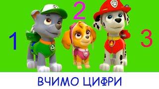 Щенячий Патруль Вчить  Цифри ️  від 1 до 10 ️ розвиваючі мультики для дітей українською