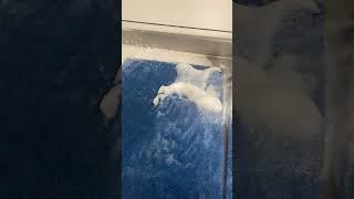 Temizliğe devam. #temizlik #keşvet #shortvideo #aboneol #beğen