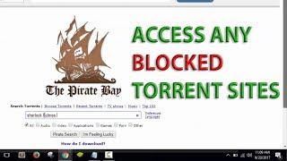 Unblock Torrent Websites