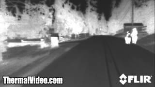 Driving at Night: Thermal Imaging Clip of the Week