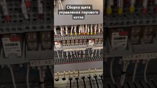 Сборка щита управления Lexicon для парового котла Teplofor Lexor #производство #электрика #кип