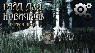 Гайд по механикам и советы новичкам в Dark Souls 2: персонаж, класс, дар, костер, смерть, перекаты