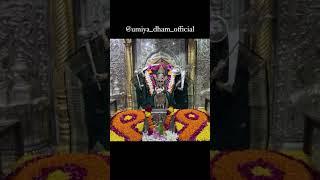  Mari Sidsar Vadi Umiya Madi  #ytshorts #umiya_dham_official #viral #shorts #youtubeshorts