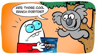 Koala Wants Cool Ranch Doritos