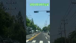 강문경 물레방아도는데 떠나자 집에서탈출 #music #dance #디스코 #트로트 #미스터미스터 #댄스 #강아지 #automobile #맛집