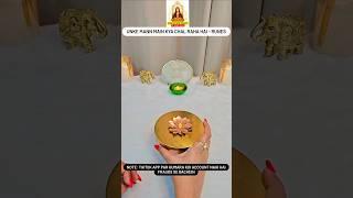 Unke mann main kya chal raha hai - Runes Reading | Hindi Tarot | The Divine Tarot | current feelings
