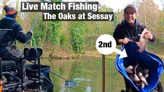 Live Match Fishing - The Oaks at Sessay: Oak Lake