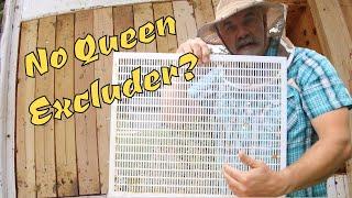 Can You Harvest Honey from a Layens Hive with no Queen Excluder?