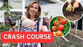 How to Grow the Sweetest Tomatoes in Australia  Growing Tomatoes Step by Step - beginner to pro!
