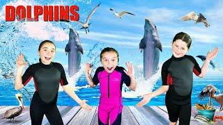 Dolphins for Kids | All About Dolphins | Bottlenose Dolphins