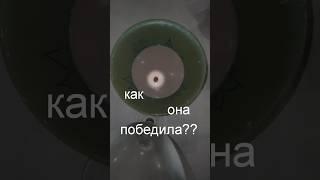 самый тупой контент в мире