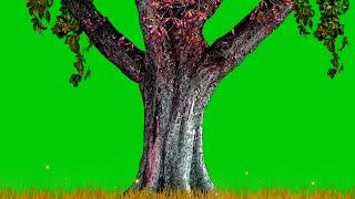 Tree Green Screen Background | Moving Tree Leaves Green Screen Video | Green Screen Animation