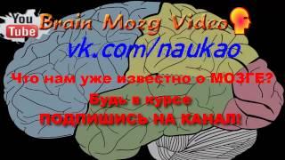 Что Нам (Людям, Человечеству, Науке)  уже известно о МОЗГЕ?