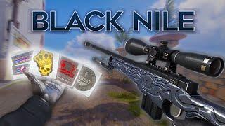 AWP Black Nile: ЛУЧШИЕ комбинации наклеек в CS2