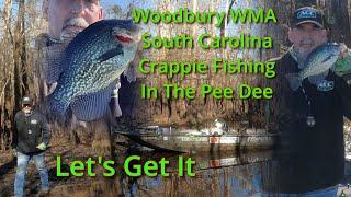 "Chasing Big Crappie in South Carolina’s Hidden Waters  (Woodbury WMA Adventure)"