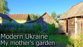 Modern Ukraine. Life in the Ukrainian village. My mother's garden #ukraine