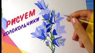 Рисунки цветов / Как нарисовать КОЛОКОЛЬЧИК гуашью