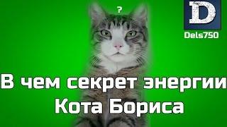 В чем истинный секрет энергии Кота Бориса (RYTP)