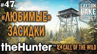 theHunter call of the wild #47  - "Любимые" Засидки - Винтовка - Олень, Медведь