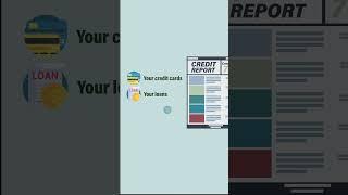 Credit Report Breakdown