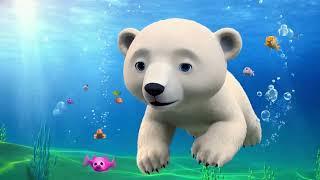 Polar Bear  Song #kids #kindergarten #polarbear #toddlersong #wildlife #kidsfunsong #nurseryrhymes