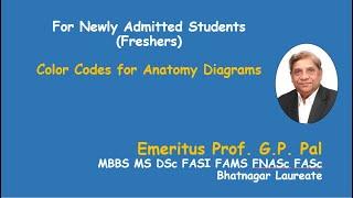 Color codes for anatomy diagrams