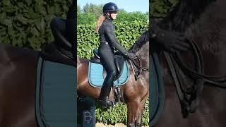 Vincere Saddlepads - Our Saddlery