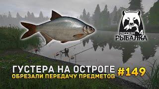 Густера на Остроге. Обрезали передачу предметов - Русская Рыбалка 4 #149